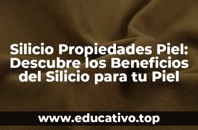 Silicio Propiedades Piel: Descubre los Beneficios del Silicio para tu Piel