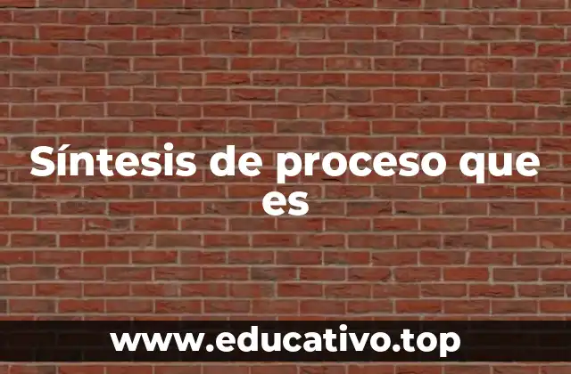 Síntesis de proceso que es