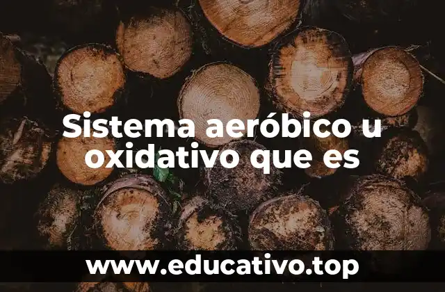 Sistema aeróbico u oxidativo que es
