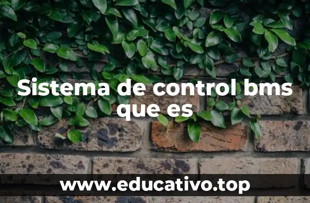 Sistema de control bms que es
