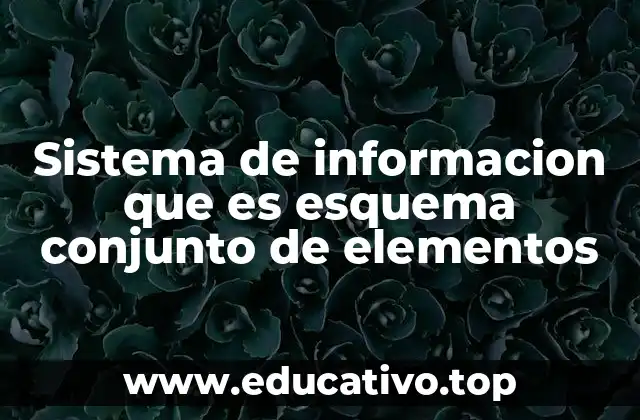 Sistema de informacion que es esquema conjunto de elementos