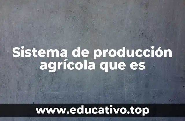Sistema de producción agrícola que es