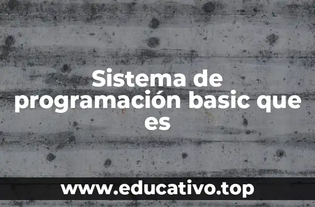 Sistema de programación basic que es