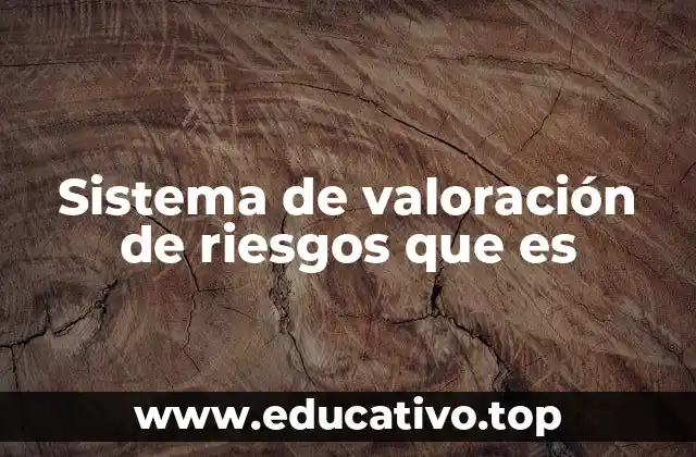 Sistema de valoración de riesgos que es