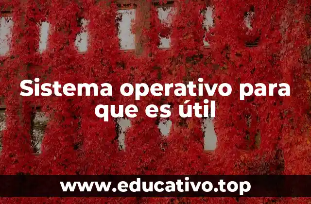 El rol del sistema operativo en el día a día de los usuarios