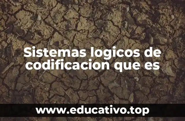 Sistemas logicos de codificacion que es