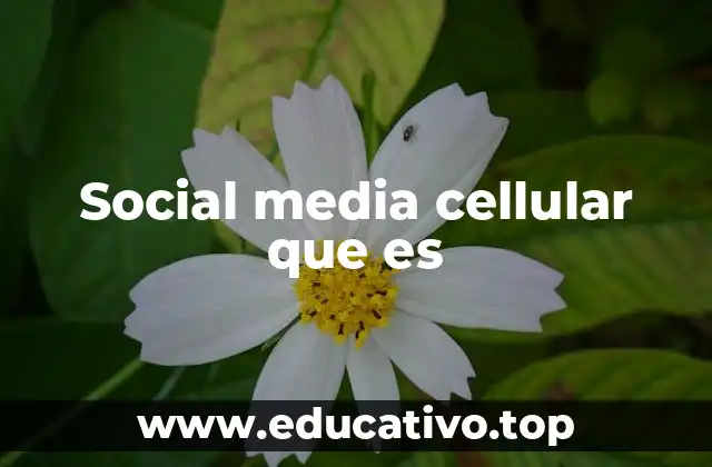 Social media cellular que es