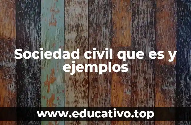 El papel de la sociedad civil en la democracia