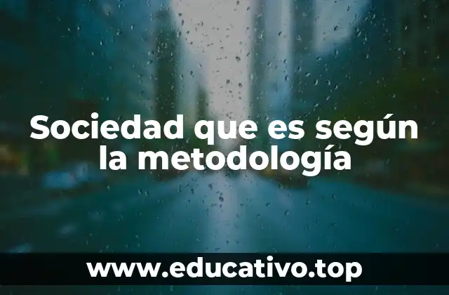 Sociedad que es según la metodología