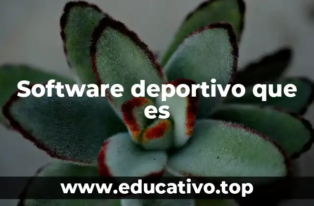 Software deportivo que es