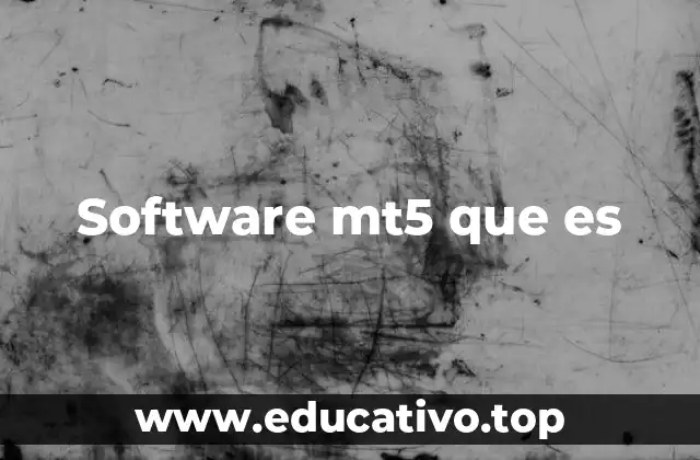 Software mt5 que es
