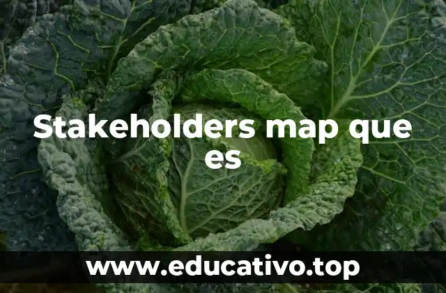 Stakeholders map que es