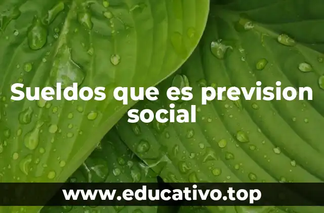 Sueldos que es prevision social