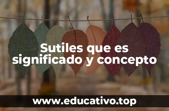 Sutiles que es significado y concepto