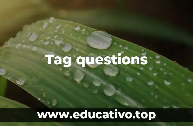 Tag questions