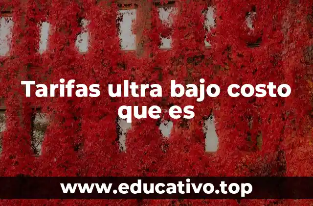 Tarifas ultra bajo costo que es