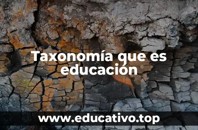 Taxonomía que es educación