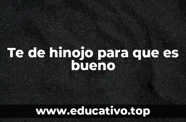Cómo el té de hinojo puede mejorar tu bienestar digestivo