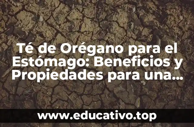 Té de Orégano para el Estómago: Beneficios y Propiedades para una Salud Digestiva