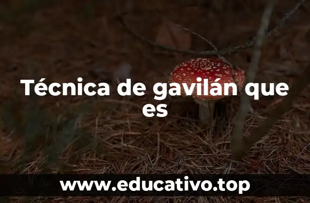 Técnica de gavilán que es
