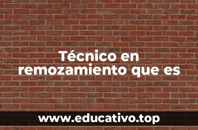 Técnico en remozamiento que es