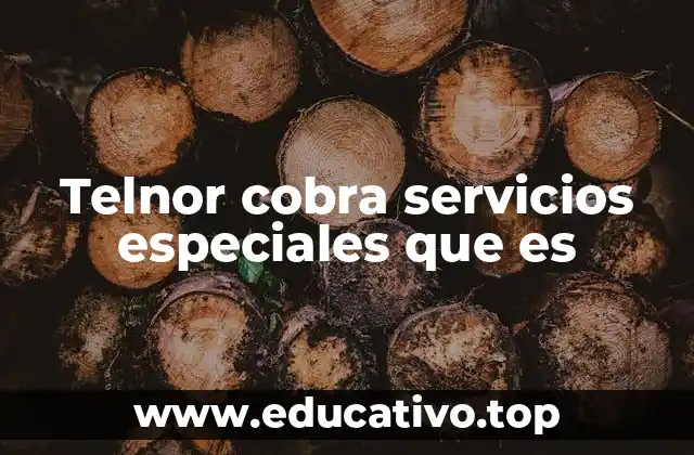 ¿Cómo identificar si Telnor está cobrándote servicios especiales?