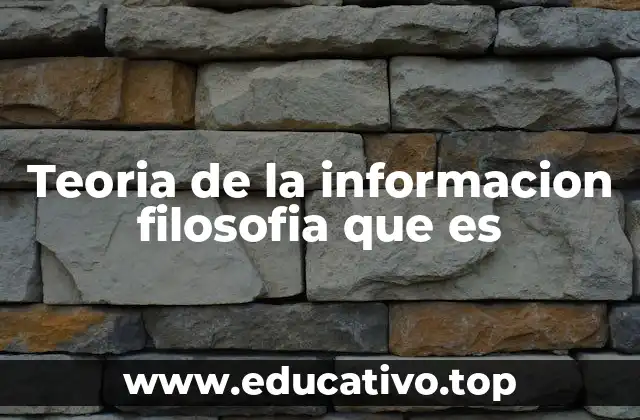 La información como fenómeno filosófico