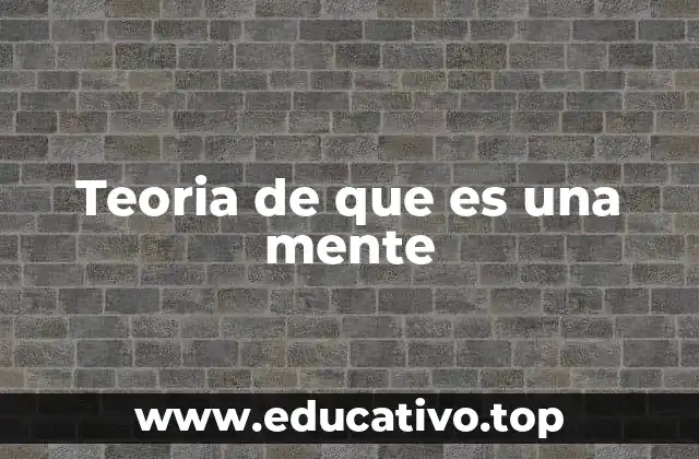 Teoria de que es una mente