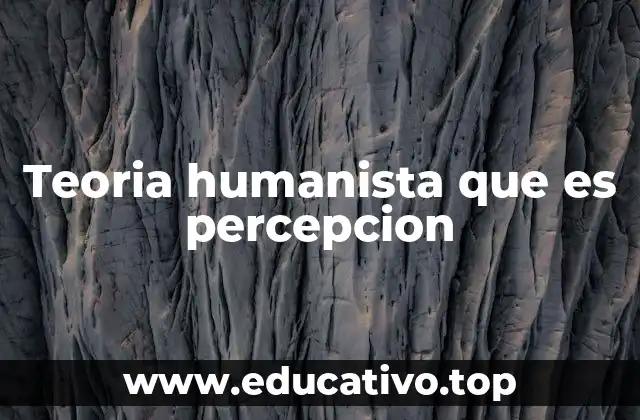 La percepción como puente entre el individuo y el entorno