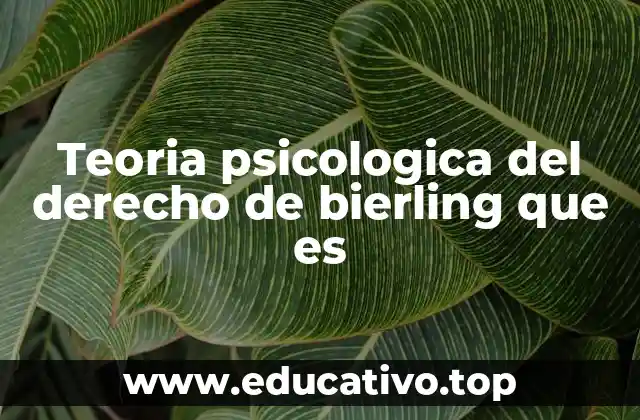 Teoria psicologica del derecho de bierling que es