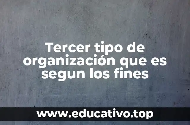Características distintivas del tercer tipo de organización