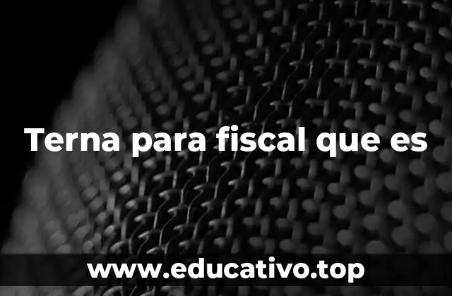 Terna para fiscal que es