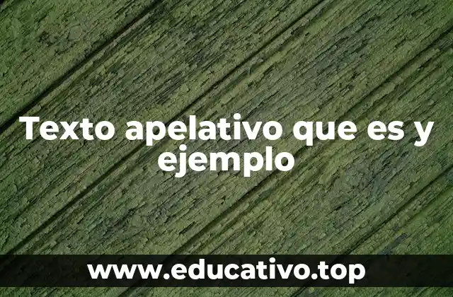 La importancia del texto apelativo en la comunicación moderna