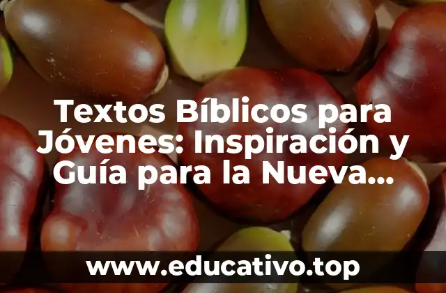 Textos Bíblicos para Jóvenes: Inspiración y Guía para la Nueva Generación