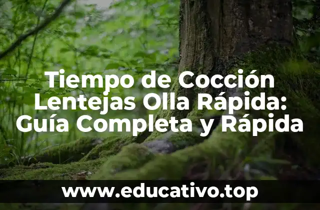Tiempo de Cocción Lentejas Olla Rápida: Guía Completa y Rápida