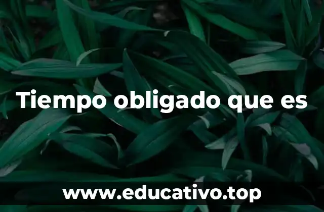 Tiempo obligado que es
