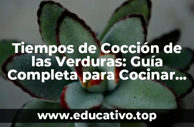 Tiempos de Cocción de las Verduras: Guía Completa para Cocinar Verduras Perfectas