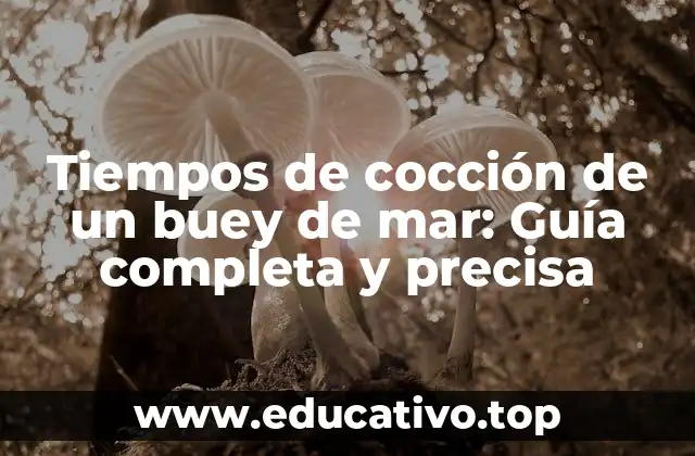 Tiempos de cocción de un buey de mar: Guía completa y precisa