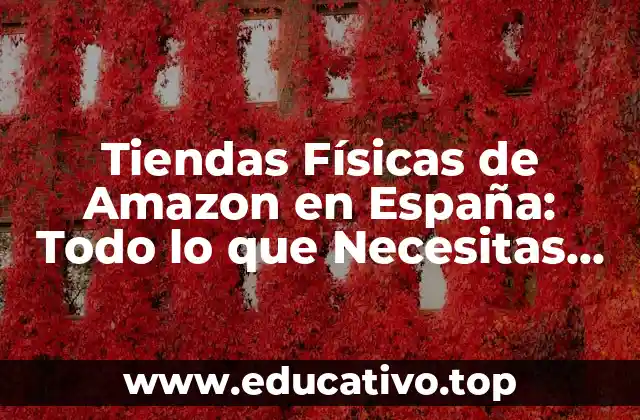 Tiendas Físicas de Amazon en España: Todo lo que Necesitas Saber