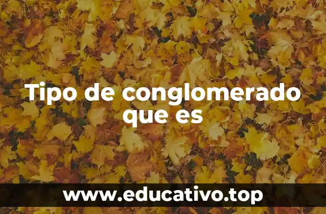 Características principales de los conglomerados