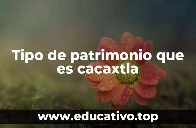 Tipo de patrimonio que es cacaxtla