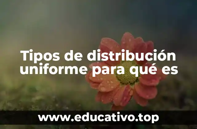 Tipos de distribución uniforme para qué es