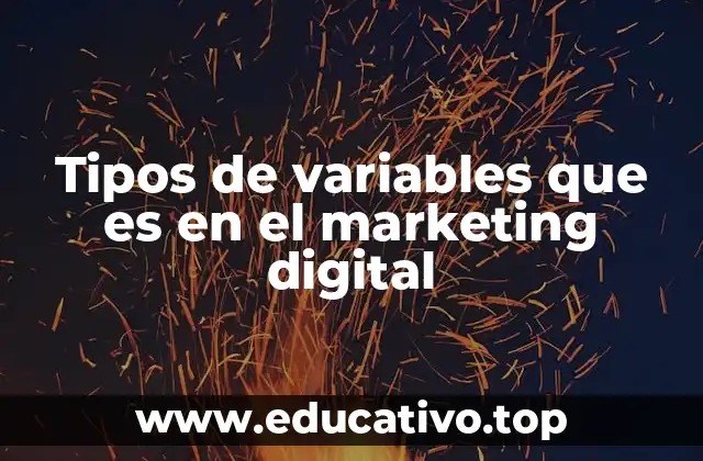 Tipos de variables que es en el marketing digital