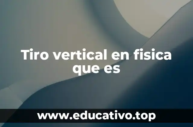 Tiro vertical en fisica que es