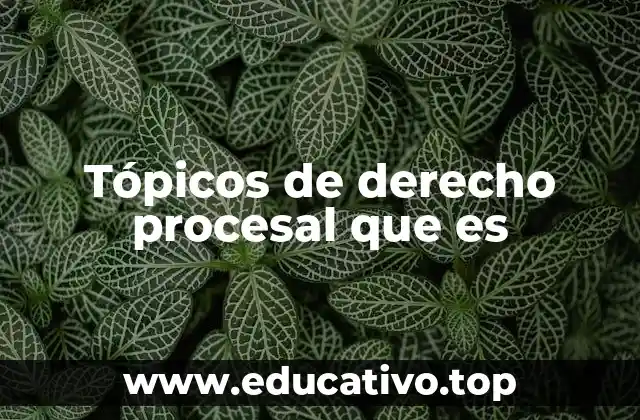 Tópicos de derecho procesal que es
