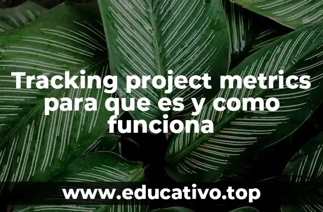 Tracking project metrics para que es y como funciona