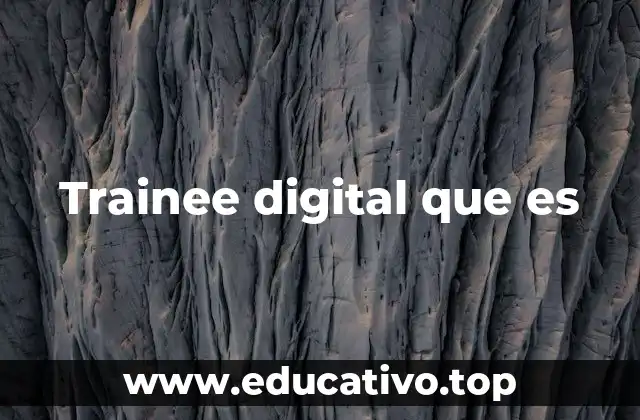 Trainee digital que es