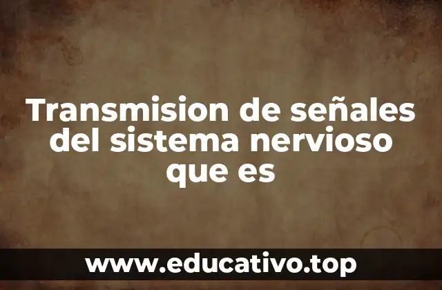Cómo las señales viajan a través de las neuronas