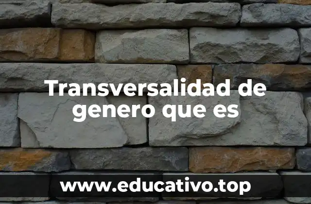 Transversalidad de genero que es