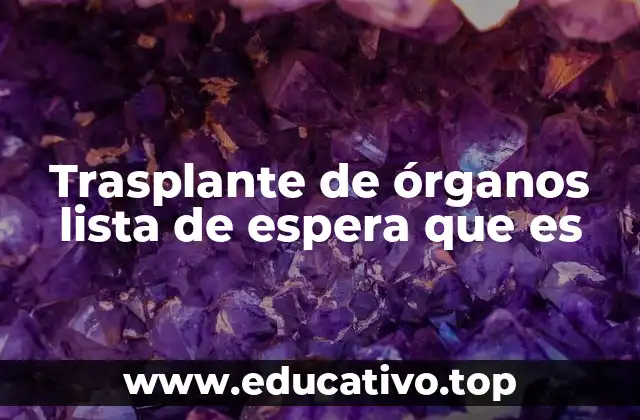 Trasplante de órganos lista de espera que es
